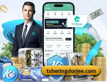 aoa网页版入口 APP 深度功能